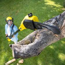 Best Firewood Processing and Delivery  in Country Walk, FL